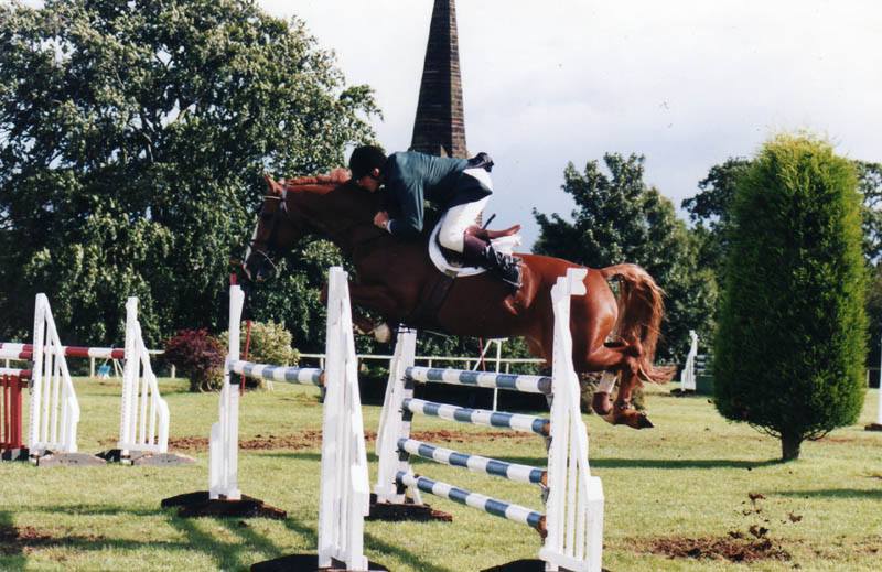 Young Showjumpers For Sale